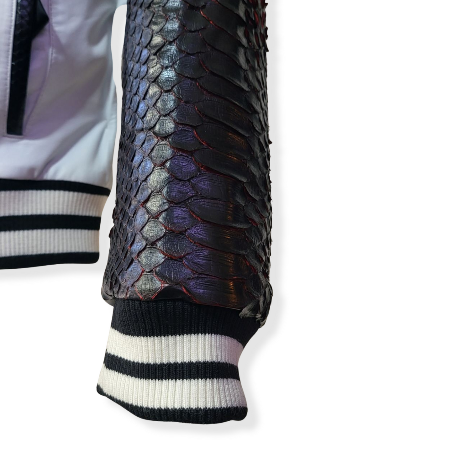 DAY OF THE DEAD VARSITY PYTHON SLEEVE JACKET